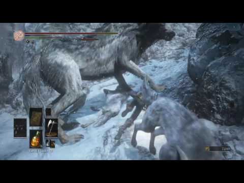 DARK SOULS 3 Mini-Boss 59: Greatwolf