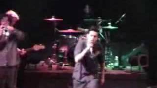 Yesterday - Mustard Plug