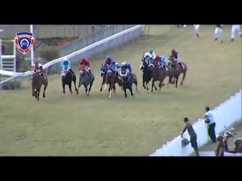 RM26 R8 - Querari's Secret