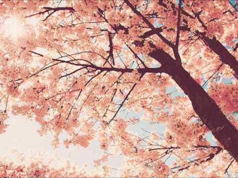 Epitone Project - Spring Day, Cherry Blossoms & You