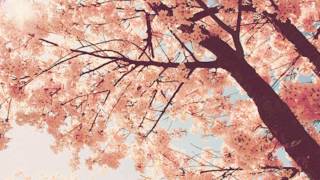 Epitone Project - Spring Day, Cherry Blossoms & You