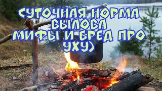 Суточная норма вылова рыболовами-любителями алтайский край