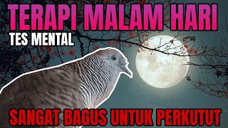 Download lagu PERKUTUT lokal GACOR  suara cocok untuk pancingan MALAM HARI pasti BIKIN RIBUT mp3