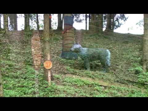 3D Bogen Parcours Test Bogensport Schicklberg April 2017