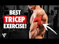 Best Exercise For Bigger Triceps