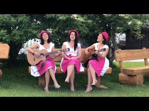 Die Hollerstauden - "Gemeinsamkeit"