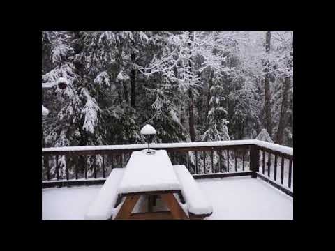 Surprise April Snowstorm in Maine