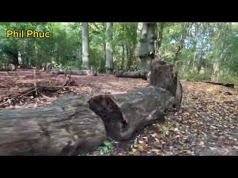 Part 1 - Citadelle - Lille