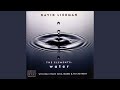Dave Liebman's Reflections On "Water" (from The Elements - Water)