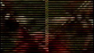 "Effortless Battle" -- Film by Catherine Pancake -- Music by Ian Nagoski  -- (2003) -- part  TWO