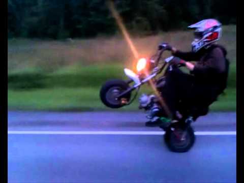 download lagu mp3 mp4 Snwt, download lagu Snwt gratis, unduh video klip Snwt
