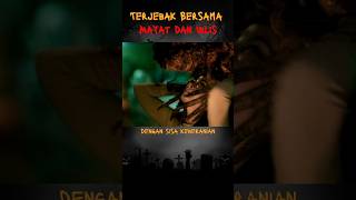 Download lagu Terjebak Bersama Mayat dan Iblis #filmhoror #kisahnyata #ceritahoror #urbanlegend #shortsfilm mp3