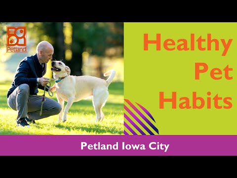 Healthy Pet Habits