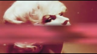 That's Fine, What Time? - R Stevie Moore (2015)