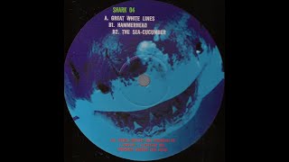 Pounding Grooves & R.A.W. - Great White Lines