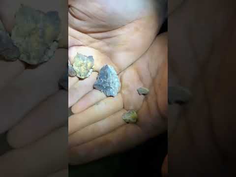 We found a lode with over $100,000 worth of gold! #goldnugget #gold #goldhunter #visitaustralia