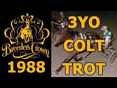 1988 Breeders Crown - Firm Tribute - 3YO Colt Trot