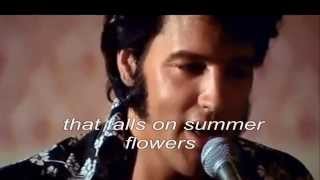 Elvis Presley - Mary In The Morning ( rehearsal) with lyrics