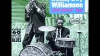Sonny Boy Williamson-Ninety Nine