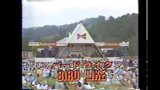 The Great Quartet - Bird Like (Budweiser Newport Jazz Festival in Madarao 1983)