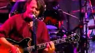 Widespread Panic - From The Cradle -Live At The Fox Theatre