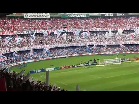 Torcida Fúria Independente do Paraná no estádio Couto Pereira 25/11