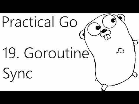 Goroutine Synchronization Go Lang Practical Programming Tutorial p 19