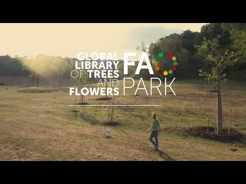 La realizzazione della Global Library of Trees and Flowers – FAO Park