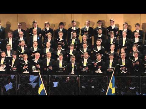 Saltarelle - Stockholms Studentångares Jubileum 2015