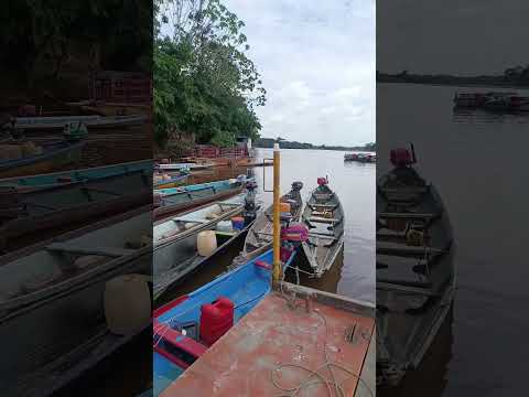 #caquetá curillo #florenciacaquetá #colombia #avengers #singer