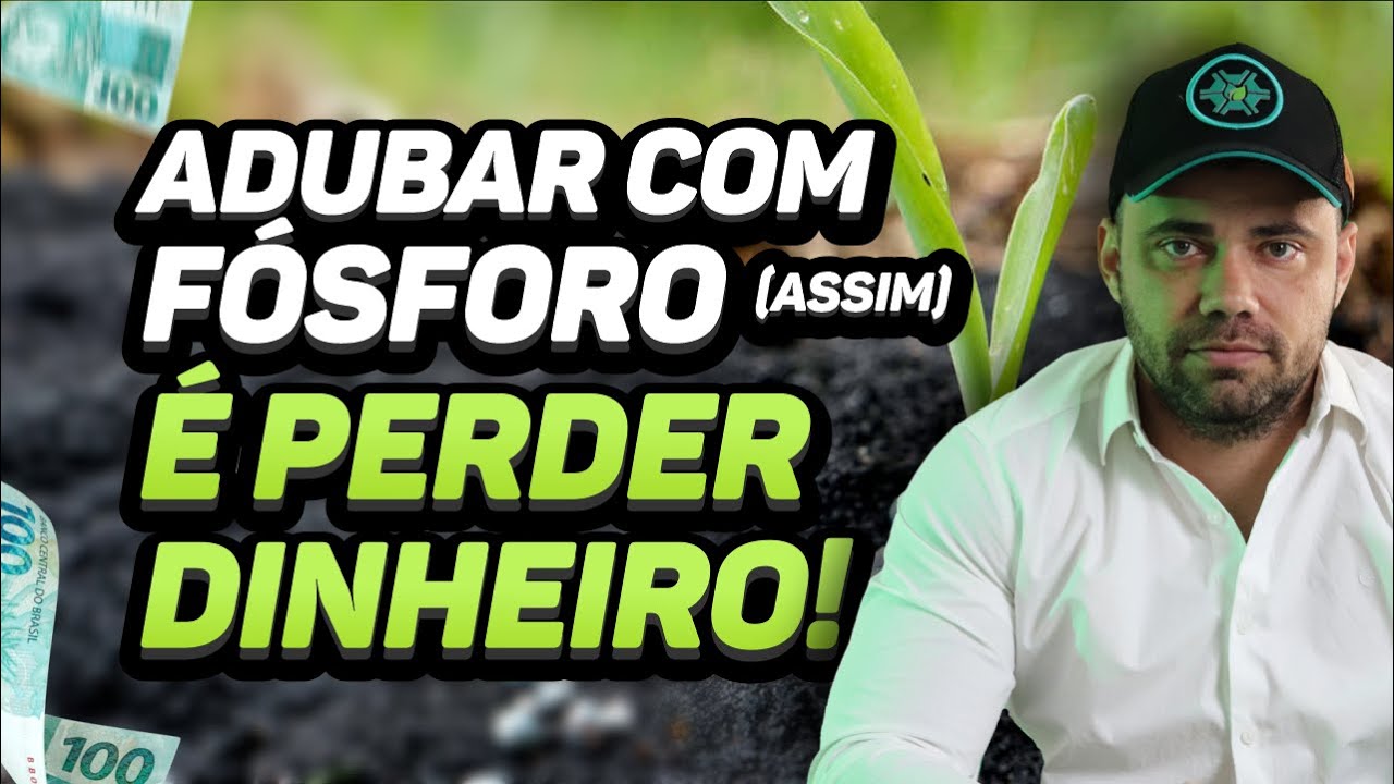 Fósforo em solo ácido = perder dinheiro!