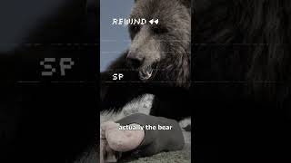 Man Survives Bear Attack With Spray 😨