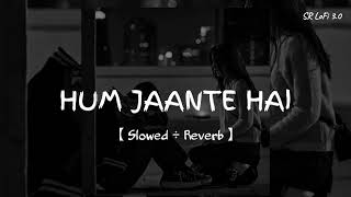Download lagu Hum Jaante Hai -【 Slowed   Reverb 】| Alka Yagnik | Vinod Rathod | Old Song | 90's Hits | SR Lofi 3.0 mp3