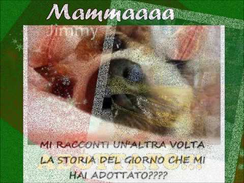 La Rocca degli Angeli Natale 2013