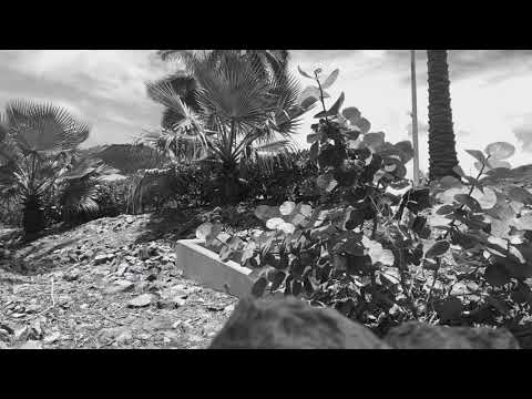 Future - Solo (Official Music Video Remix) [TISSMIX]