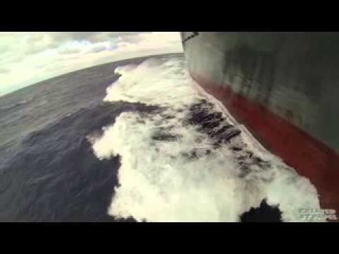 CSAV LA LIGUA - Voyage