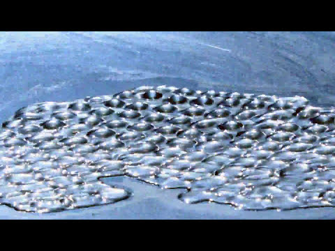 Richard Houghten -  Cellular Rhythm (Music Video)