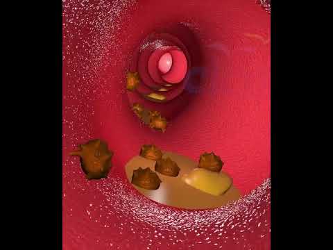 What Happens When You Drink? Alcohol's Journey Through Your Body 🍷 (3D Animation)