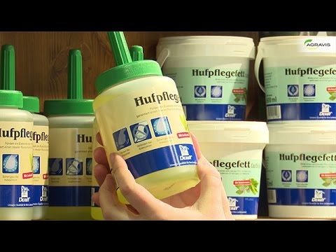 Rund um den Reitsport: Derby und Raiffeisen-Märkte beim AGRAVIS-CUP in Oldenburg.