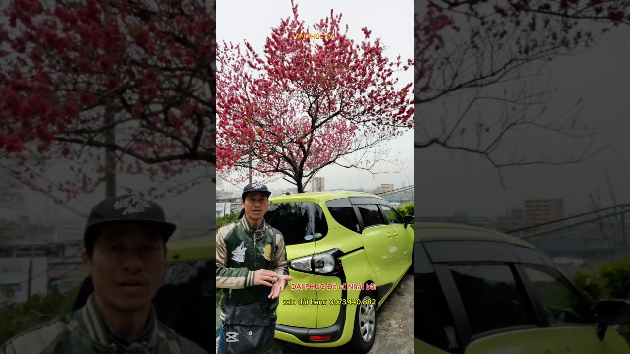 ĐẠI PHÚC TV Chuyên hàng Nhật bãi.Mua hộ đồ và vận chuyển hàng Nhật gửi về Việt Nam