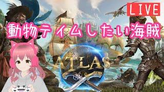 【ATLAS】動物をテイムしたい海賊