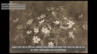 Det nya ögat. Verk från Moderna Museet.