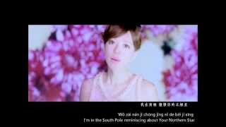 Della Ding - (手掌心) Heart of Palms lyrics (Pinyin/English/Chinese)