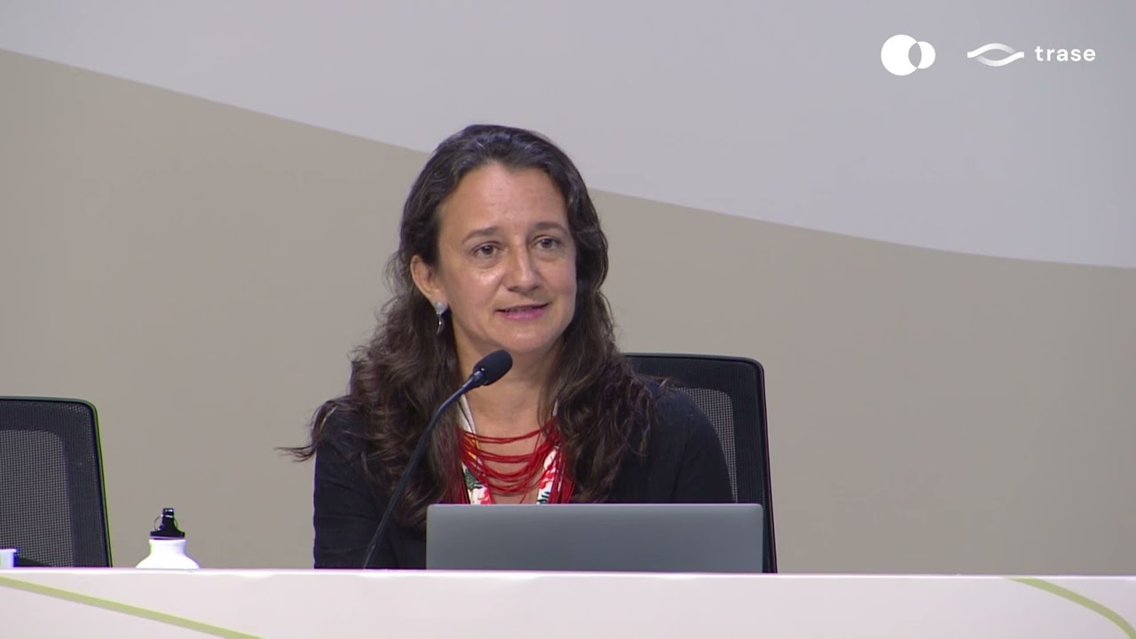 Brazil's cattle sector: A key arena for forest and climate action