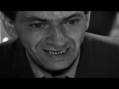 In the Zone: In Praise of Pip