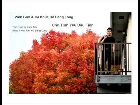 Cho tình yêu đầu tiên - Vĩnh Lam