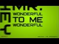 Smile.DK - MR. WONDERFUL | Типографика ...
