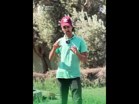 شهادة فلاح 4