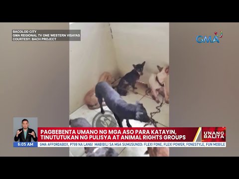 Pagbebenta umano ng mga aso para katayin, tinututukan ng pulisya at animal rights groups UB