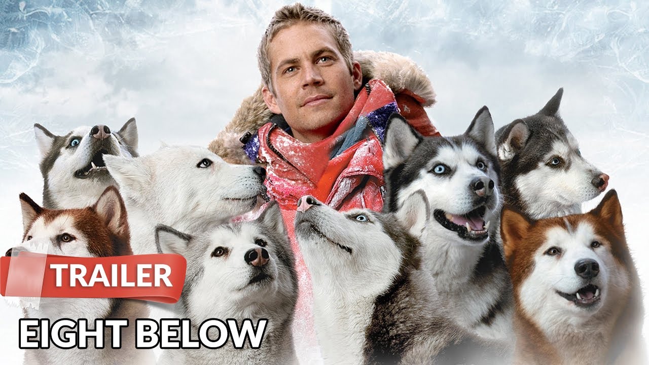 Miniature de la vidéo Eight Below (2006) Trailer | Paul Walker | Jason Biggs du film Antartica, prisonniers du froid